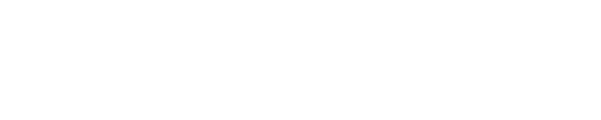 Argentum | XP